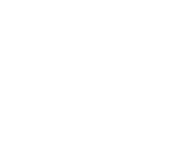 VISCAS HOTEL